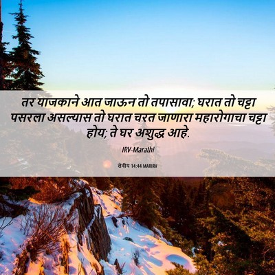 Picture 06 - लेवीय 14:44 MARIRV - तर याजकाने आत जाऊन - Bible Verse Picture