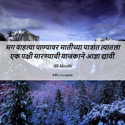 Picture 06 - लेवीय 14:5 MARIRV - मग वाहत्या - Bible Verse Picture