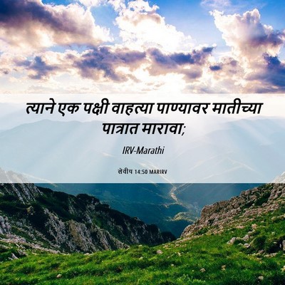 Picture 06 - लेवीय 14:50 MARIRV - त्याने एक पक्षी - Bible Verse Picture