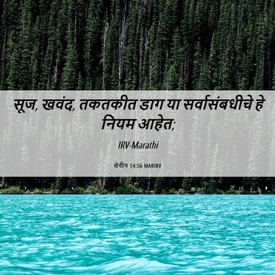 Picture 06 - लेवीय 14:56 MARIRV - सूज, खवंद, तकतकीत - Bible Verse Picture