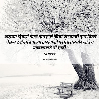Picture 06 - लेवीय 15:14 MARIRV - आठव्या दिवशी - Bible Verse Picture