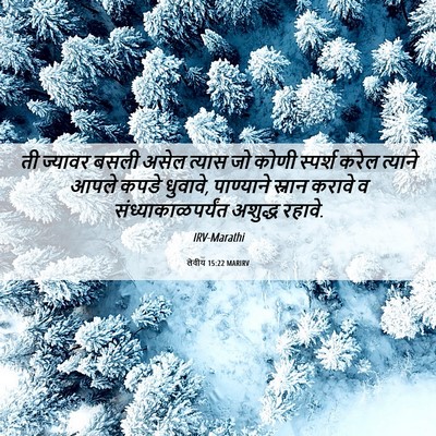 Picture 06 - लेवीय 15:22 MARIRV - ती ज्यावर बसली - Bible Verse Picture