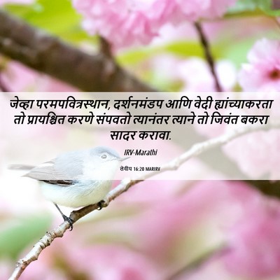 Picture 06 - लेवीय 16:20 MARIRV - जेव्हा - Bible Verse Picture