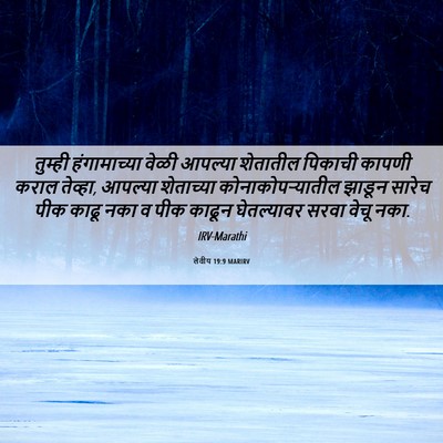 Picture 06 - लेवीय 19:9 MARIRV - तुम्ही हंगामाच्या - Bible Verse Picture