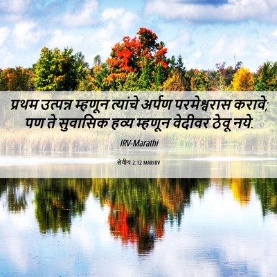 Picture 06 - लेवीय 2:12 MARIRV - प्रथम उत्पन्न - Bible Verse Picture