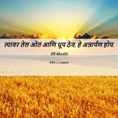 Picture 06 - लेवीय 2:15 MARIRV - त्यावर तेल ओत आणि - Bible Verse Picture