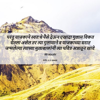 Picture 06 - लेवीय 22:11 MARIRV - परंतु याजकाने - Bible Verse Picture