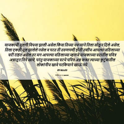 Picture 06 - लेवीय 22:13 MARIRV - याजकाची मुलगी - Bible Verse Picture