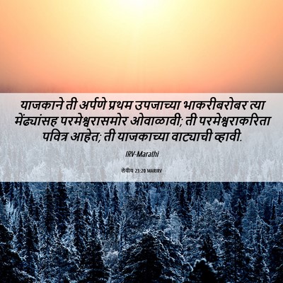 Picture 06 - लेवीय 23:20 MARIRV - याजकाने ती अर्पणे - Bible Verse Picture