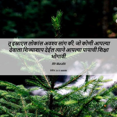 Picture 06 - लेवीय 24:15 MARIRV - तू इस्राएल लोकांस - Bible Verse Picture