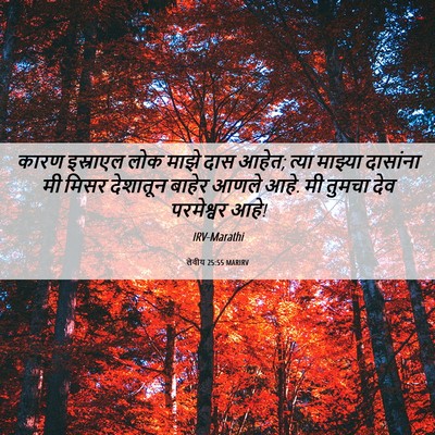 Picture 06 - लेवीय 25:55 MARIRV - कारण इस्राएल लोक - Bible Verse Picture