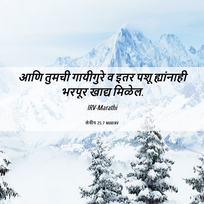 Picture 06 - लेवीय 25:7 MARIRV - आणि तुमची - Bible Verse Picture