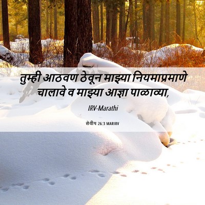 Picture 06 - लेवीय 26:3 MARIRV - तुम्ही आठवण ठेवून - Bible Verse Picture