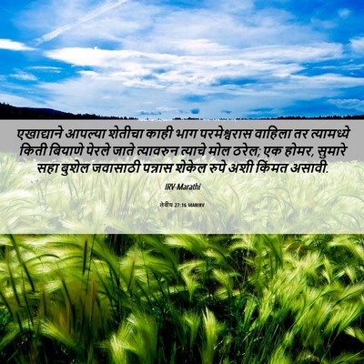 Picture 06 - लेवीय 27:16 MARIRV - एखाद्याने आपल्या - Bible Verse Picture
