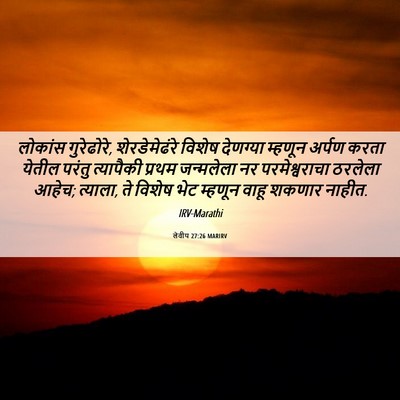 Picture 06 - लेवीय 27:26 MARIRV - लोकांस गुरेढोरे, - Bible Verse Picture