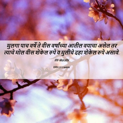 Picture 06 - लेवीय 27:5 MARIRV - मुलगा पाच वर्षे ते - Bible Verse Picture