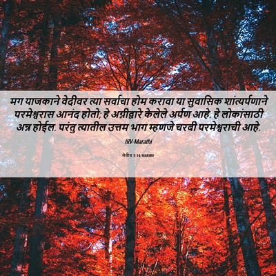Picture 06 - लेवीय 3:16 MARIRV - मग याजकाने वेदीवर - Bible Verse Picture