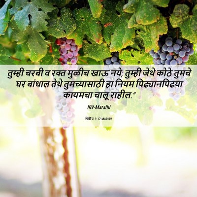 Picture 06 - लेवीय 3:17 MARIRV - तुम्ही चरबी व रक्त - Bible Verse Picture