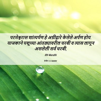 Picture 06 - लेवीय 3:3 MARIRV - परमेश्वरास - Bible Verse Picture