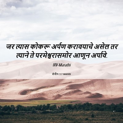 Picture 06 - लेवीय 3:7 MARIRV - जर त्यास कोकरू - Bible Verse Picture