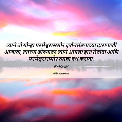 Picture 06 - लेवीय 4:4 MARIRV - त्याने तो गोऱ्हा - Bible Verse Picture