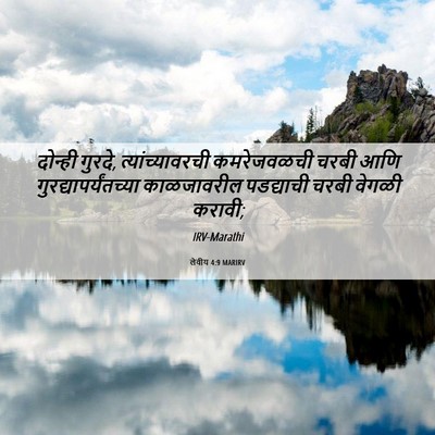 Picture 06 - लेवीय 4:9 MARIRV - दोन्ही गुरदे, - Bible Verse Picture