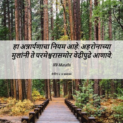 Picture 06 - लेवीय 6:14 MARIRV - हा अन्नार्पणाचा - Bible Verse Picture