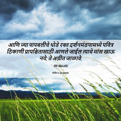 Picture 06 - लेवीय 6:30 MARIRV - आणि ज्या पापबलीचे - Bible Verse Picture