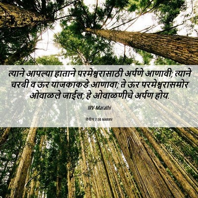 Picture 06 - लेवीय 7:30 MARIRV - त्याने आपल्या - Bible Verse Picture