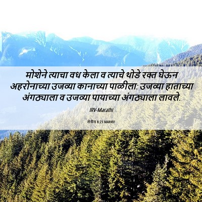Picture 06 - लेवीय 8:23 MARIRV - मोशेने त्याचा वध - Bible Verse Picture