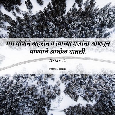 Picture 06 - लेवीय 8:6 MARIRV - मग मोशेने अहरोन व - Bible Verse Picture