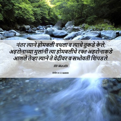 Picture 06 - लेवीय 9:12 MARIRV - नंतर त्याने - Bible Verse Picture