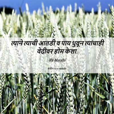 Picture 06 - लेवीय 9:14 MARIRV - त्याने त्याची - Bible Verse Picture