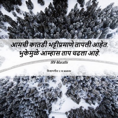 Picture 06 - विलापगीत 5:10 MARIRV - आमची कातडी - Bible Verse Picture