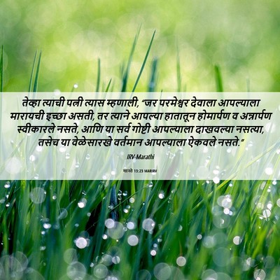 Picture 06 - शास्ते 13:23 MARIRV - तेव्हा त्याची - Bible Verse Picture