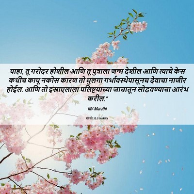 Picture 06 - शास्ते 13:5 MARIRV - पाहा, तू गरोदर - Bible Verse Picture