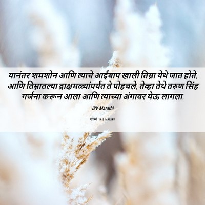 Picture 06 - शास्ते 14:5 MARIRV - यानंतर शमशोन आणि - Bible Verse Picture