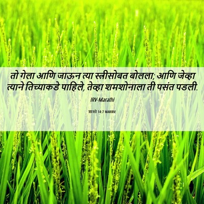 Picture 06 - शास्ते 14:7 MARIRV - तो गेला आणि जाऊन - Bible Verse Picture