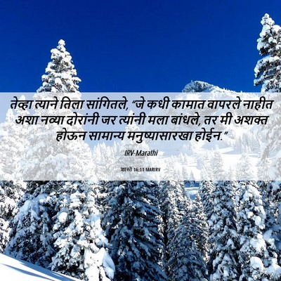 Picture 06 - शास्ते 16:11 MARIRV - तेव्हा त्याने - Bible Verse Picture