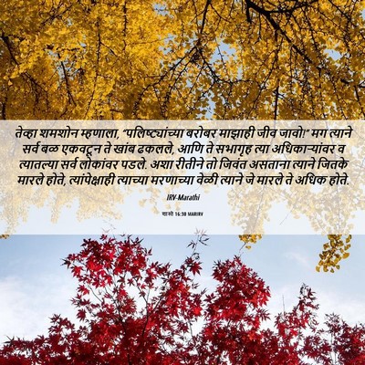 Picture 06 - शास्ते 16:30 MARIRV - तेव्हा शमशोन - Bible Verse Picture
