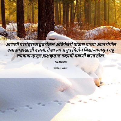Picture 06 - शास्ते 6:11 MARIRV - आणखी परमेश्वराचा - Bible Verse Picture