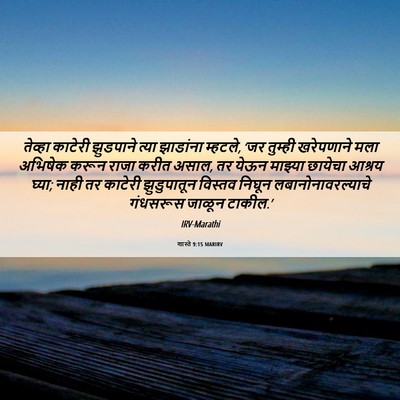 Picture 06 - शास्ते 9:15 MARIRV - तेव्हा काटेरी - Bible Verse Picture