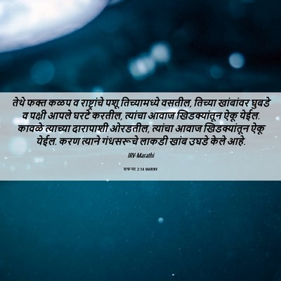 Picture 06 - सफन्या 2:14 MARIRV - तेथे फक्त कळप व - Bible Verse Picture