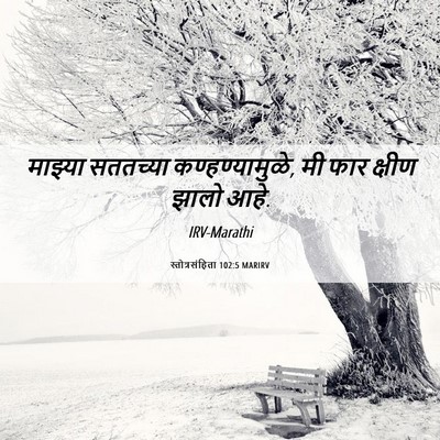 Picture 06 - स्तोत्रसंहिता 102:5 MARIRV - माझ्या सततच्या - Bible Verse Picture