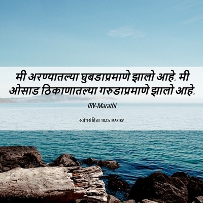 Picture 06 - स्तोत्रसंहिता 102:6 MARIRV - मी अरण्यातल्या - Bible Verse Picture