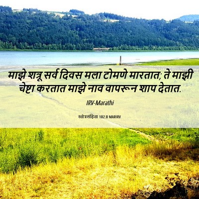 Picture 06 - स्तोत्रसंहिता 102:8 MARIRV - माझे शत्रू सर्व - Bible Verse Picture
