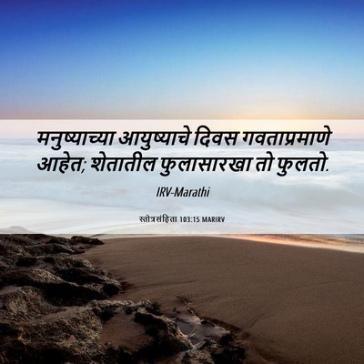 Picture 06 - स्तोत्रसंहिता 103:15 MARIRV - मनुष्याच्या - Bible Verse Picture