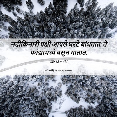 Picture 06 - स्तोत्रसंहिता 104:12 MARIRV - नदीकिनारी पक्षी - Bible Verse Picture