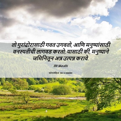 Picture 06 - स्तोत्रसंहिता 104:14 MARIRV - तो गुरांढोरासाठी - Bible Verse Picture