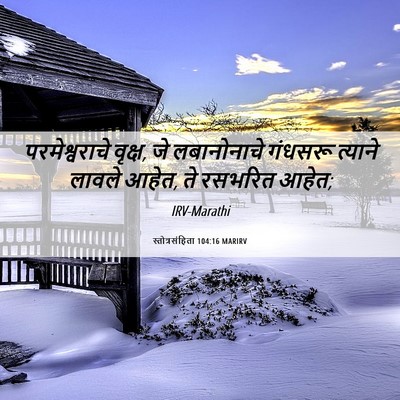 Picture 06 - स्तोत्रसंहिता 104:16 MARIRV - परमेश्वराचे - Bible Verse Picture